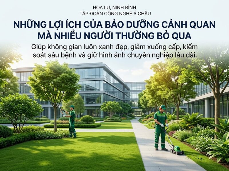 Bảo dưỡng cảnh quan có thật sự cần thiết? Những lợi ích nhiều người chỉ nhận ra khi quá muộn Bảo dưỡng cảnh quan