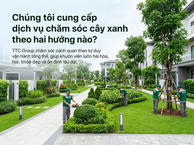 Dịch vụ chăm sóc cây xanh của TTC Group giúp công trình giữ cảnh quan ổn định và bền vững hơn dịch vụ chăm sóc cây xanh