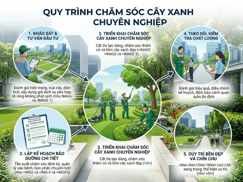 Quy trình chăm sóc cây xanh chuyên nghiệp giúp công trình luôn bền đẹp và chỉn chu quy trình chăm sóc cây xanh chuyên nghiệp