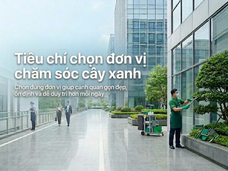 tiêu chí chọn đơn vị chăm sóc cây xanh